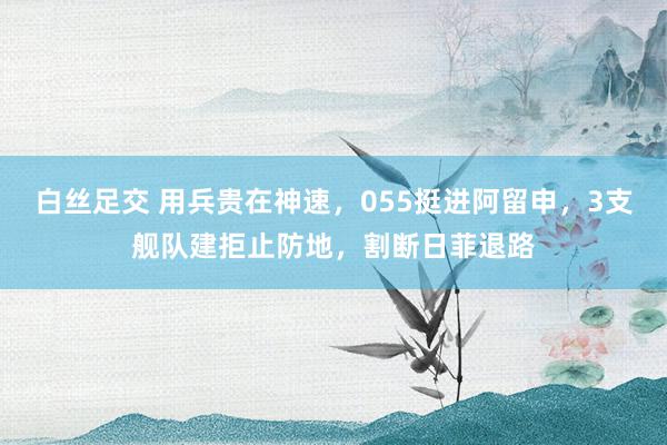 白丝足交 用兵贵在神速，055挺进阿留申，3支舰队建拒止防地，割断日菲退路