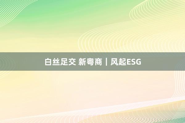 白丝足交 新粤商｜风起ESG