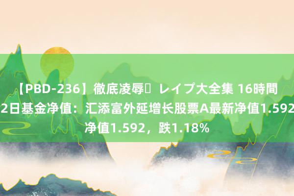 【PBD-236】徹底凌辱・レイプ大全集 16時間 第2集 7月22日基金净值：汇添富外延增长股票A最新净值1.592，跌1.18%