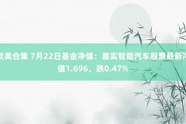 欧美合集 7月22日基金净值：嘉实智能汽车股票最新净值1.696，跌0.47%