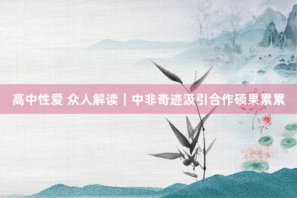 高中性爱 众人解读｜中非奇迹汲引合作硕果累累