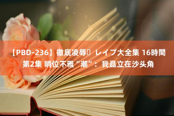 【PBD-236】徹底凌辱・レイプ大全集 16時間 第2集 哨位不雅“潮”：我矗立在沙头角