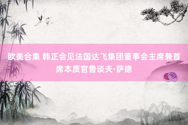 欧美合集 韩正会见法国达飞集团董事会主席兼首席本质官鲁谈夫·萨德