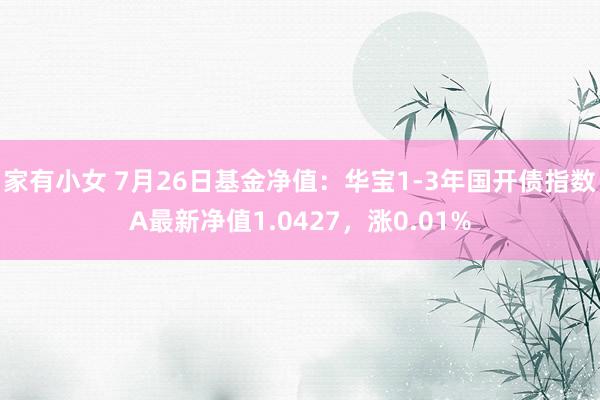 家有小女 7月26日基金净值：华宝1-3年国开债指数A最新净值1.0427，涨0.01%