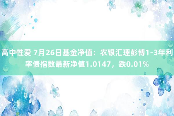 高中性爱 7月26日基金净值：农银汇理彭博1-3年利率债指数最新净值1.0147，跌0.01%