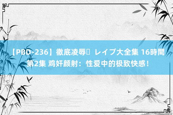 【PBD-236】徹底凌辱・レイプ大全集 16時間 第2集 鸡奸颜射：性爱中的极致快感！