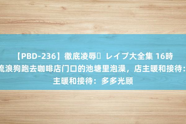 【PBD-236】徹底凌辱・レイプ大全集 16時間 第2集 流浪狗跑去咖啡店门口的池塘里泡澡，店主暖和接待：多多光顾