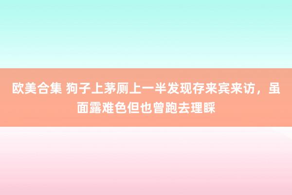 欧美合集 狗子上茅厕上一半发现存来宾来访，虽面露难色但也曾跑去理睬