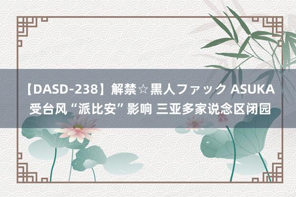 【DASD-238】解禁☆黒人ファック ASUKA 受台风“派比安”影响 三亚多家说念区闭园