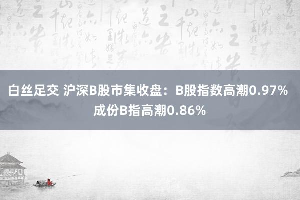 白丝足交 沪深B股市集收盘：B股指数高潮0.97% 成份B指高潮0.86%