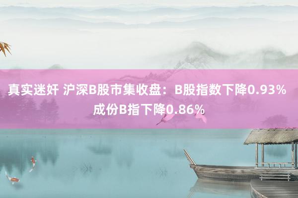 真实迷奸 沪深B股市集收盘：B股指数下降0.93% 成份B指下降0.86%