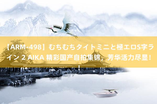 【ARM-498】むちむちタイトミニと極エロS字ライン 2 AIKA 精彩国产自拍集锦，芳华活力尽显！