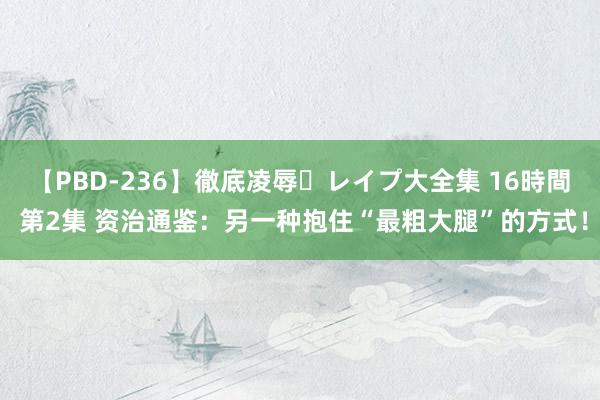 【PBD-236】徹底凌辱・レイプ大全集 16時間 第2集 资治通鉴：另一种抱住“最粗大腿”的方式！