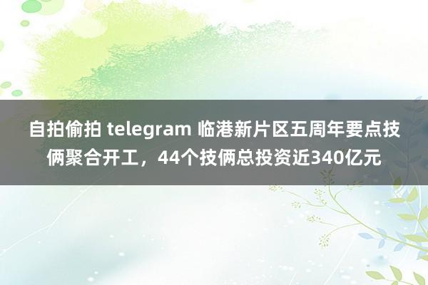 自拍偷拍 telegram 临港新片区五周年要点技俩聚合开工，44个技俩总投资近340亿元