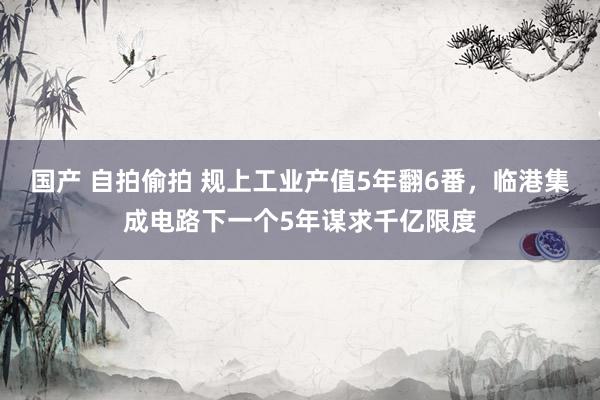 国产 自拍偷拍 规上工业产值5年翻6番，临港集成电路下一个5年谋求千亿限度