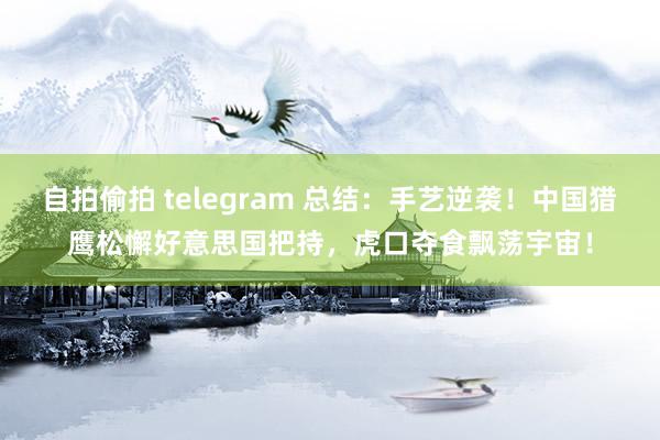 自拍偷拍 telegram 总结：手艺逆袭！中国猎鹰松懈好意思国把持，虎口夺食飘荡宇宙！