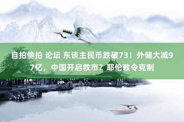 自拍偷拍 论坛 东谈主民币跌破73！外储大减97亿，中国开启救市？耶伦敕令克制