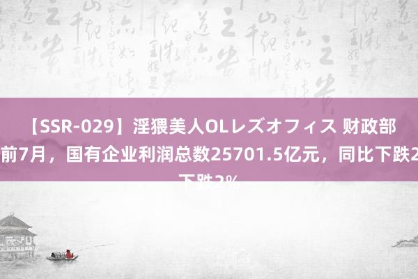 【SSR-029】淫猥美人OLレズオフィス 财政部：前7月，国有企业利润总数25701.5亿元，同比下跌2%